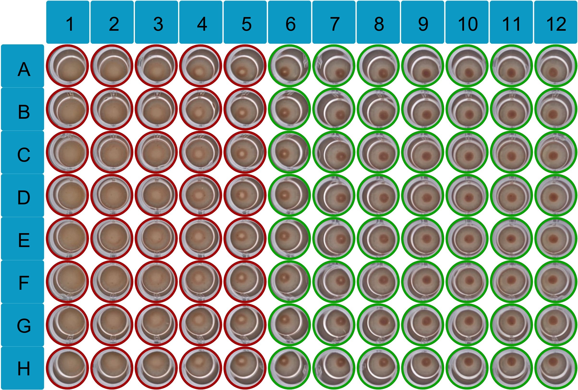 Intelligent Image Recognition